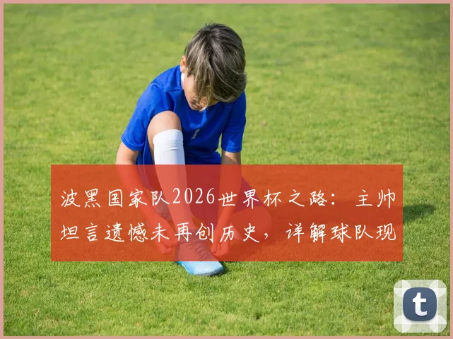 波黑国家队2026世界杯之路:主帅坦言遗憾未再创历史,详解球队现状与未来前进方向